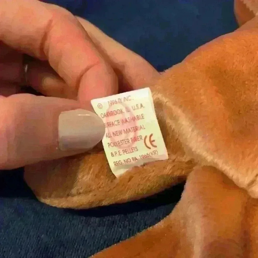 Ty Beanie Baby Sly - Picture 5 of 6